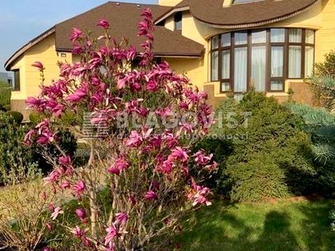 будинок за адресою Центральна, 5