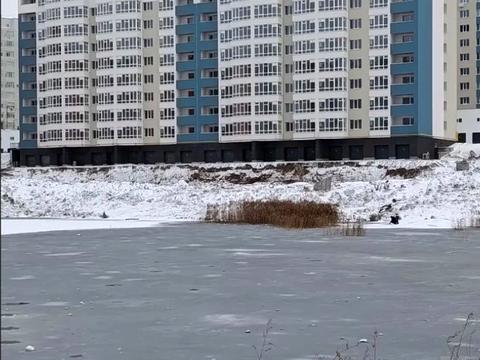 квартира по адресу Лісогринівецька ул., (Будинок 6)