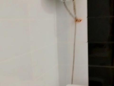 квартира за адресою Миру вул., 55