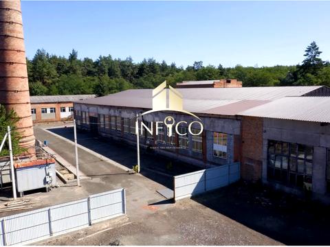 комерційна за адресою Кушніра, 111