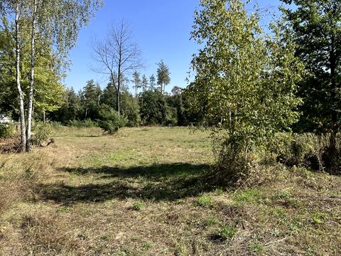 ділянка за адресою с. Іванковичі, 