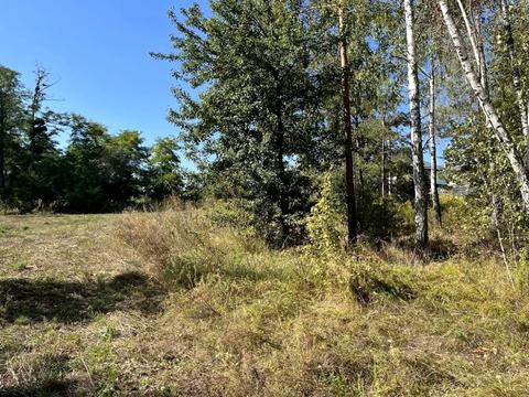 ділянка за адресою с. Іванковичі, 