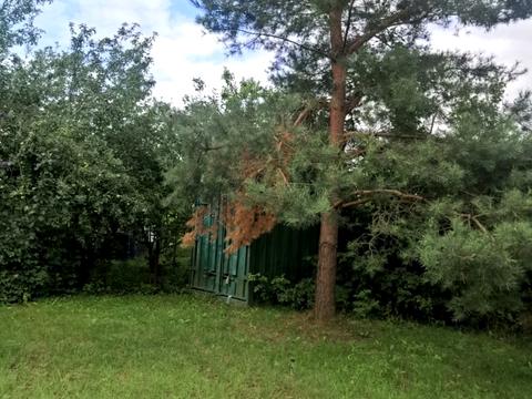 дом по адресу Фізична