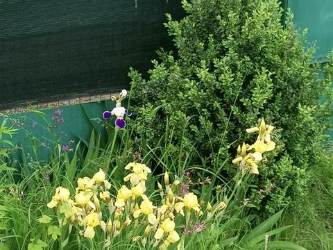 дом по адресу Фізична