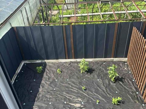 будинок за адресою Дніпровська вул. (Калініна), 27