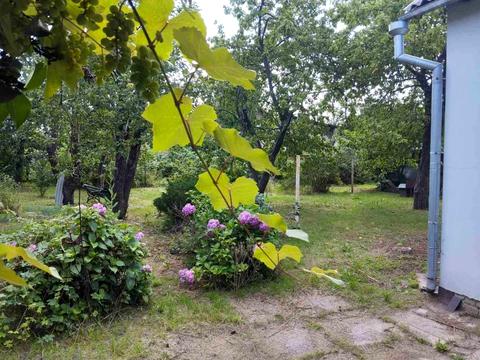 будинок за адресою Володимира Сальського вул. (Котовського)