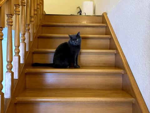 квартира за адресою Рональда Рейгана вул., 34/51