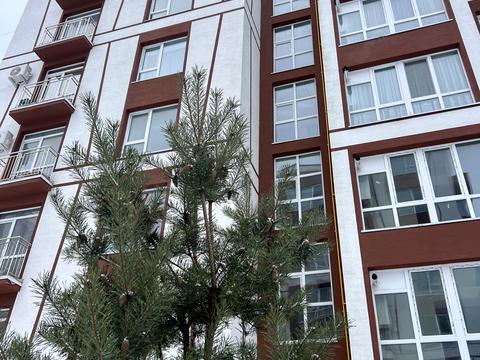 квартира по адресу Отца Ивана Блавацкого ул., 18, к.5