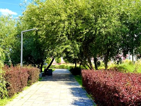 квартира за адресою Свято-Покровська вул. (Леніна), (Будинок 8)