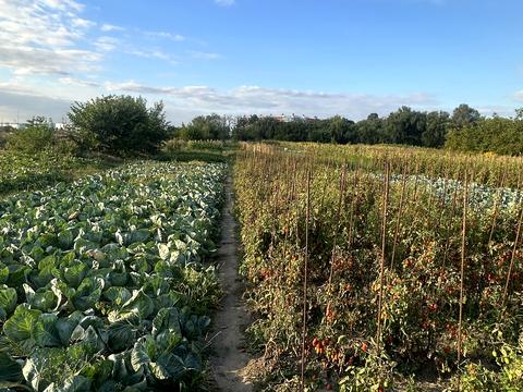 участок по адресу Кірова