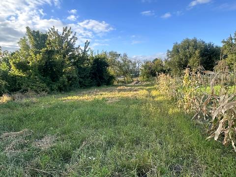 участок по адресу Кірова