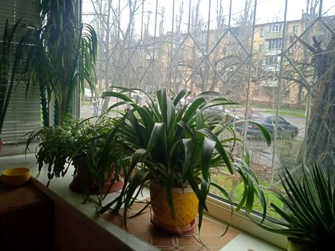 квартира за адресою Одеса, Космонавтів вул., 25/2