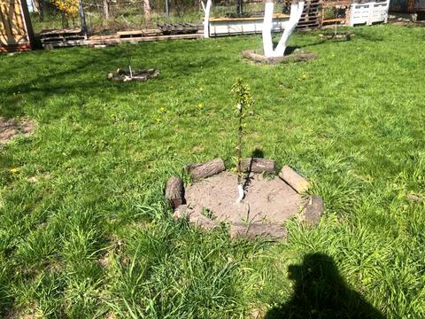 ділянка за адресою 