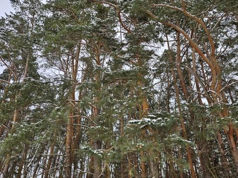 дом по адресу Антона Чехова ул.