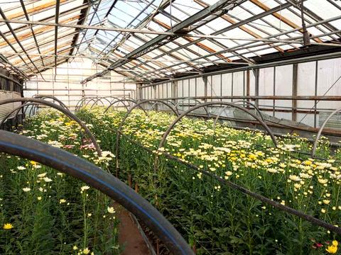 комерційна за адресою Роменська вул., 81