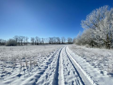 ділянка за адресою 