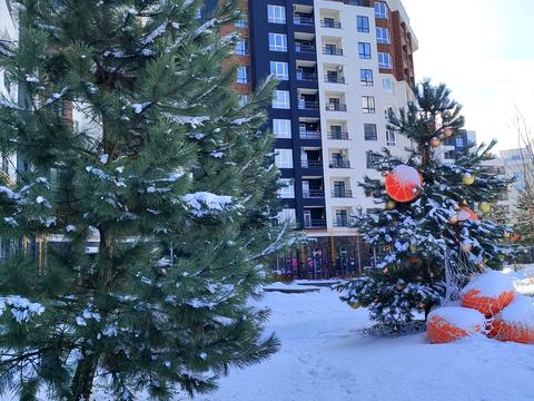 квартира за адресою Ольги Кобилянської вул. (Достоєвського), 1-В/4