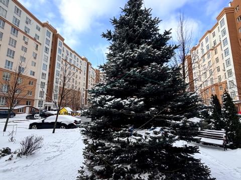 квартира за адресою Героїв Небесної Сотні просп., 40/1