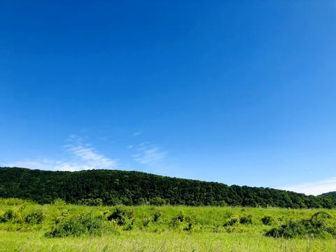 участок по адресу Олімпійська
