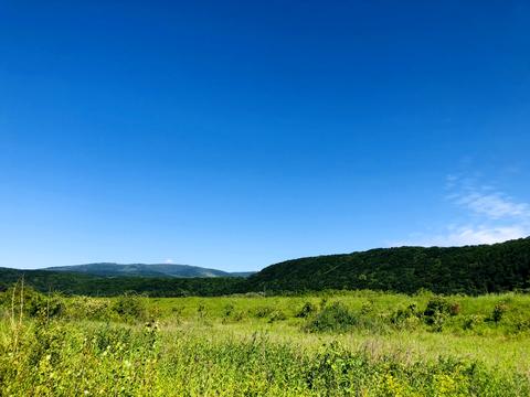 участок по адресу Олімпійська