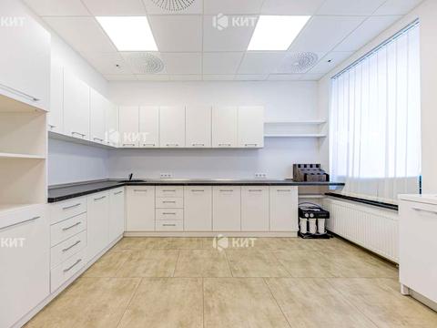 комерційна за адресою Європейська вул. (Новгородська), 11