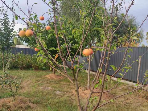 будинок за адресою Привітна вул. (Возз'єднання), 14