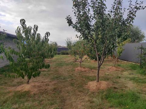 будинок за адресою Привітна вул. (Возз'єднання), 14