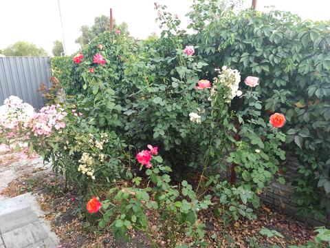 будинок за адресою Привітна вул. (Возз'єднання), 14