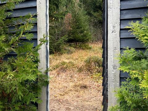 дом по адресу Сумаринська, 25