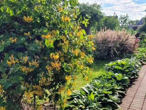 дом по адресу Польова пл.