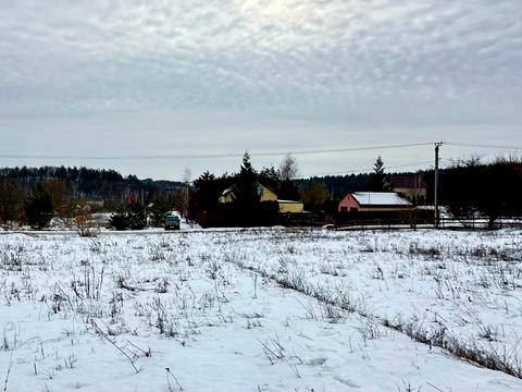 ділянка за адресою с. Великі Дмитровичі, Польова