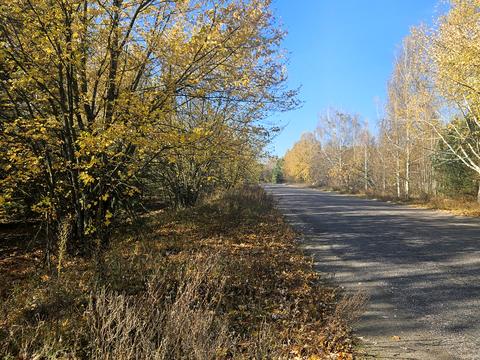 ділянка за адресою Польова