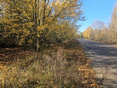 ділянка за адресою Польова