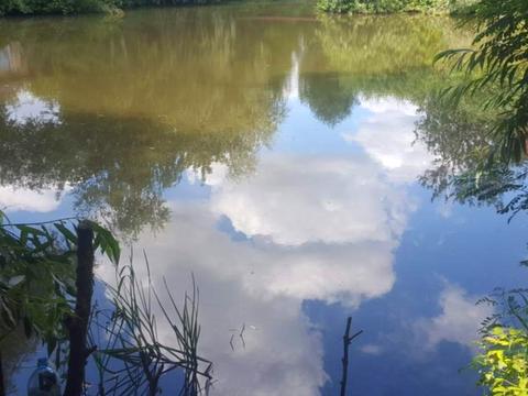 участок по адресу 15-та Садова вул.