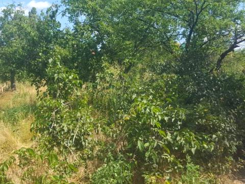 участок по адресу 15-та Садова вул.