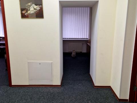 квартира по адресу Святогеоргиевская ул. (Рязанова), 15