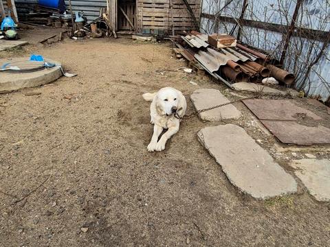 дом по адресу 9-а вулиця