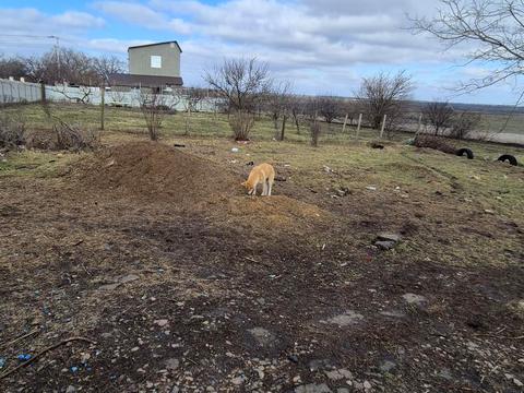 дом по адресу 9-а вулиця