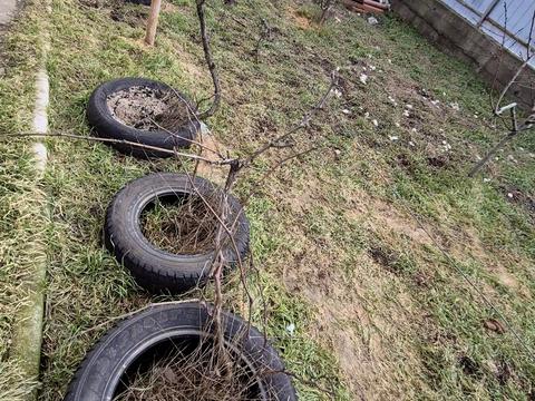 дом по адресу 9-а вулиця