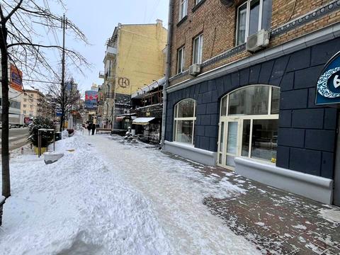 комерційна за адресою Шота Руставелі вул., 21