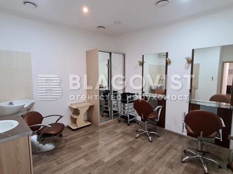 комерційна за адресою Євгена Чикаленка вул. (Пушкінська), 12