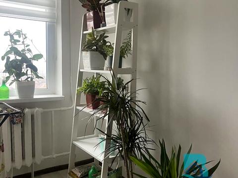 квартира по адресу Отрадный просп. (Чубаря), 61