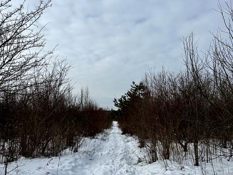 участок по адресу 2-я Белогорская ул.