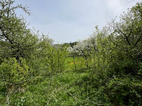 будинок за адресою Галицька