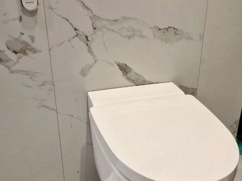 дом по адресу Лучшая ул. (Ломоносова)