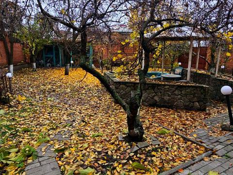 будинок за адресою Юрія Горовця вул. (Гусенка), 40