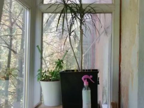 квартира за адресою Петра Калнишевського просп. (Косіора), 53