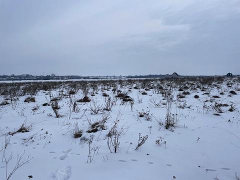 участок по адресу 