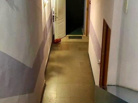 коммерческая по адресу Митрополита Андрея Шептицкого ул. (Анатолія Луначарського), 20