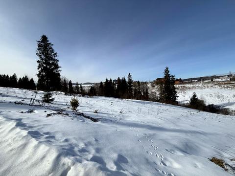 участок по адресу Шевченка